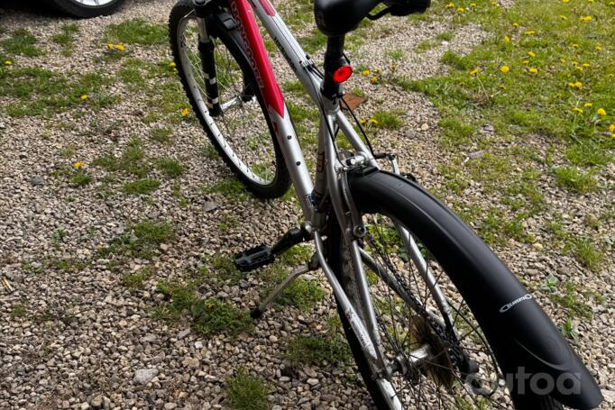 Mongoose Rockadile