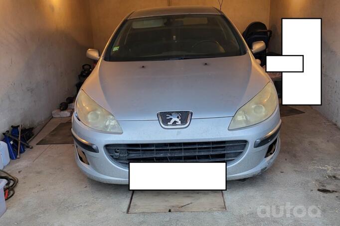 Peugeot 407 1 generation Sedan