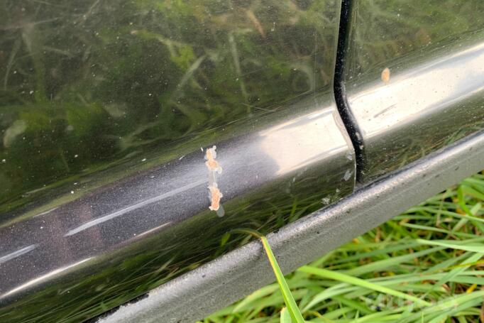 Volkswagen Golf 4 generation Hatchback 5-doors