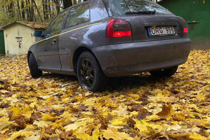 Audi A3 8L Hatchback 3-doors
