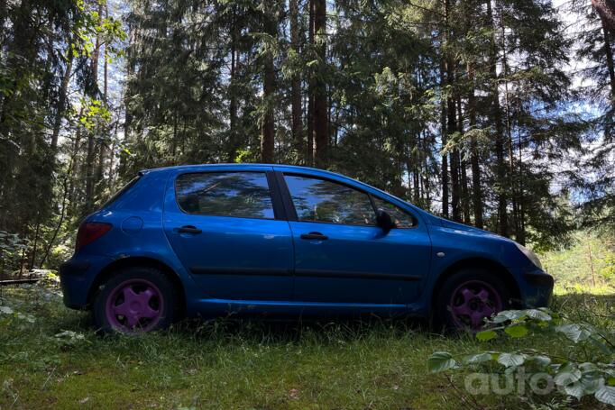 Peugeot 307 1 generation Hatchback 5-doors