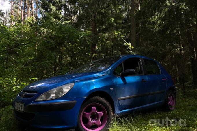 Peugeot 307 1 generation Hatchback 5-doors