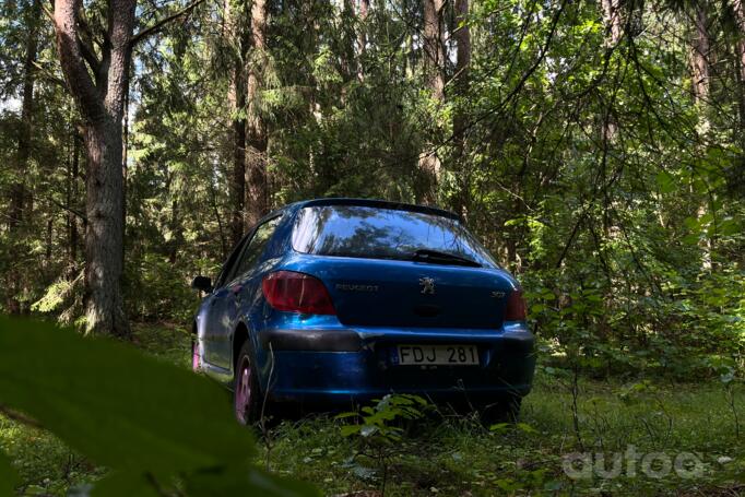 Peugeot 307 1 generation Hatchback 5-doors