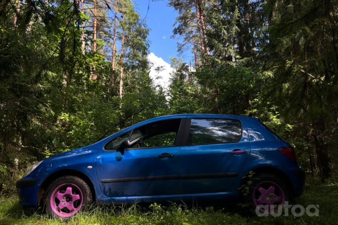 Peugeot 307 1 generation Hatchback 5-doors