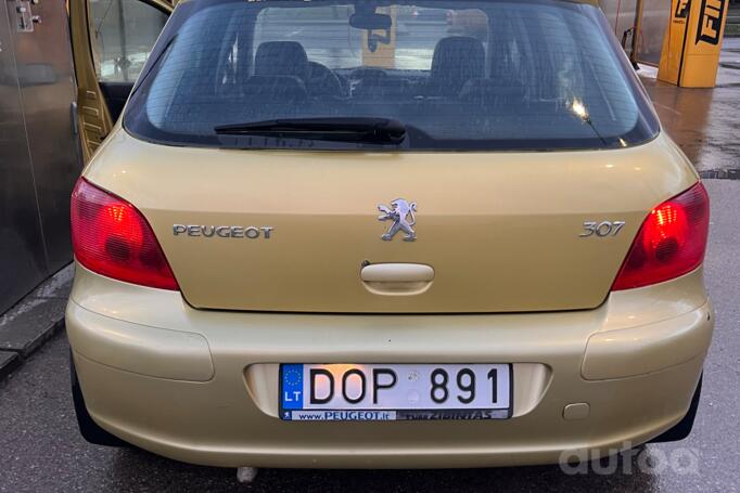 Peugeot 307 1 generation Hatchback 5-doors