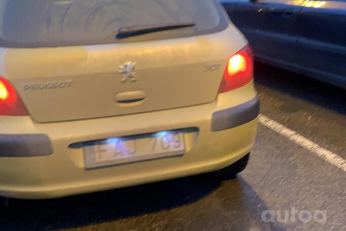 Peugeot 307 1 generation Hatchback 3-doors