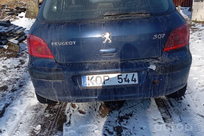 Peugeot 307 1 generation Hatchback 5-doors