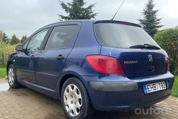 Peugeot 307 1 generation Hatchback 5-doors
