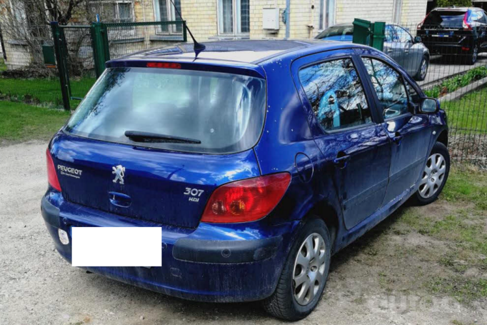 Peugeot 307 1 generation Hatchback 5-doors