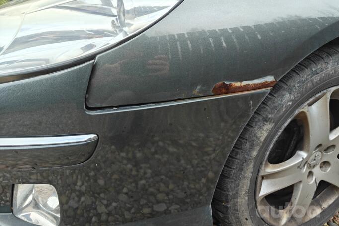 Peugeot 407 1 generation Sedan