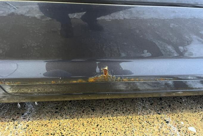 Audi A3 8P Hatchback 3-doors