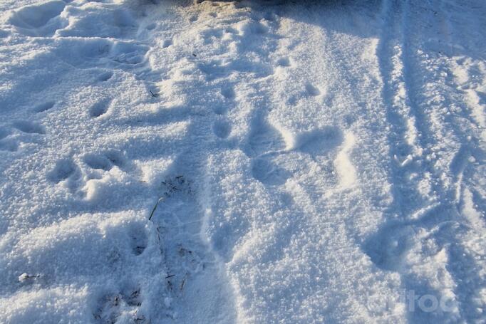 Audi A6 4B/C5 wagon 5-doors