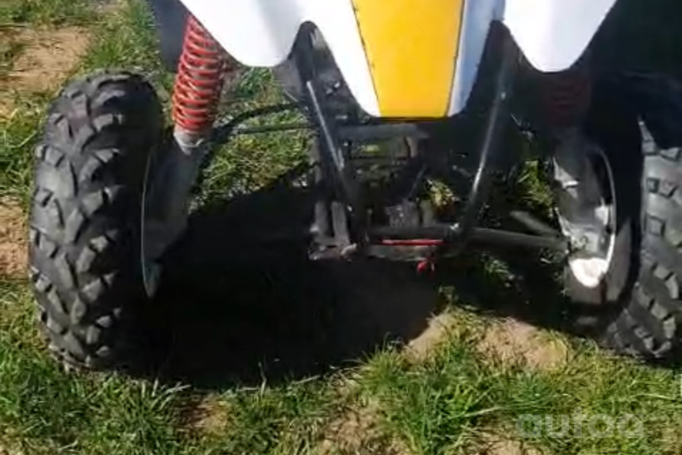 Polaris Trail Blazer