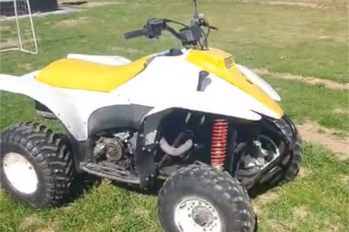 Polaris Trail Blazer