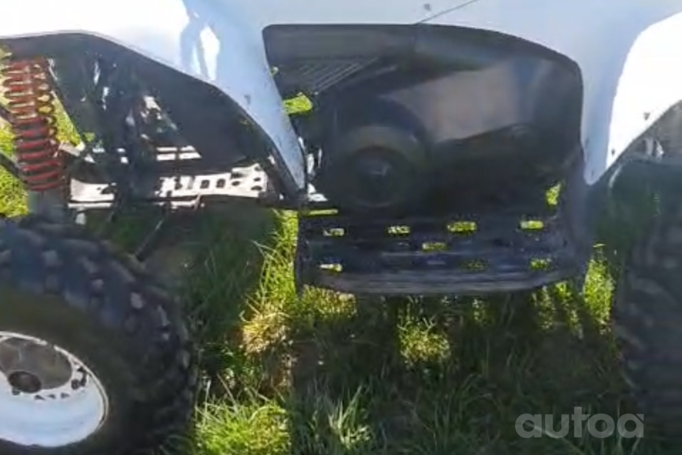 Polaris Trail Blazer