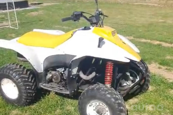 Polaris Trail Blazer