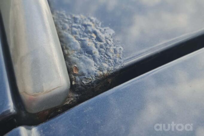 Opel Signum C [restyling] Hatchback
