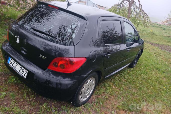 Peugeot 307 1 generation Hatchback 5-doors