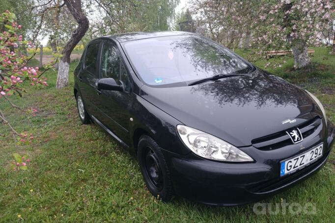 Peugeot 307 1 generation Hatchback 5-doors