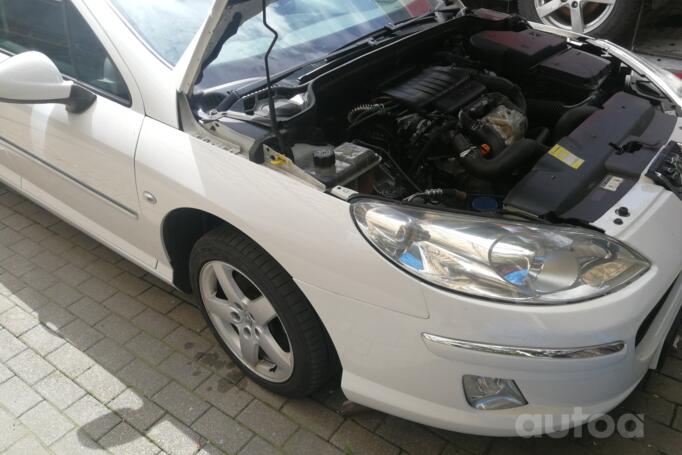 Peugeot 407 1 generation Sedan