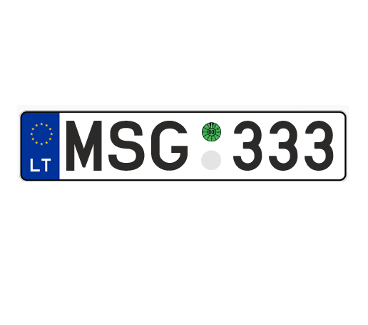 MSG 333