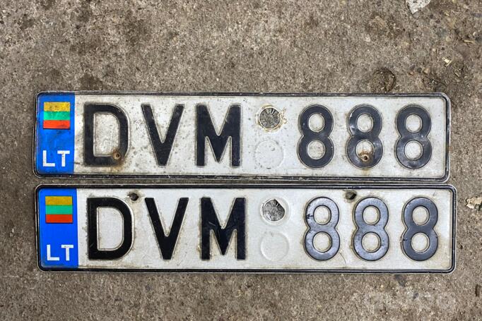 DVM888