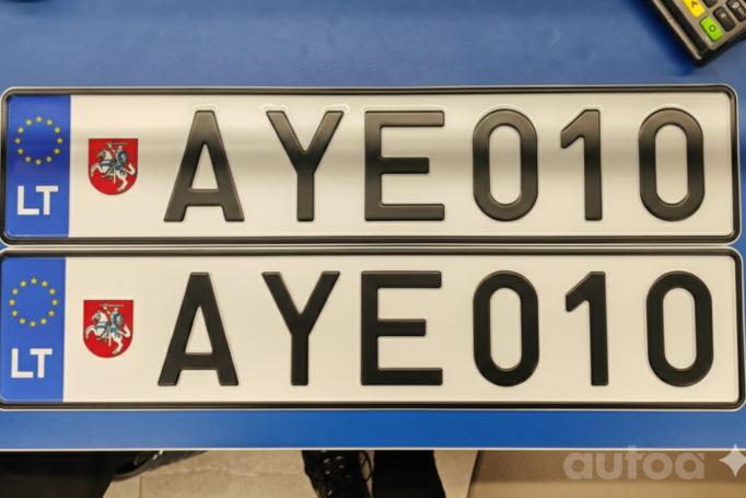 AYE010