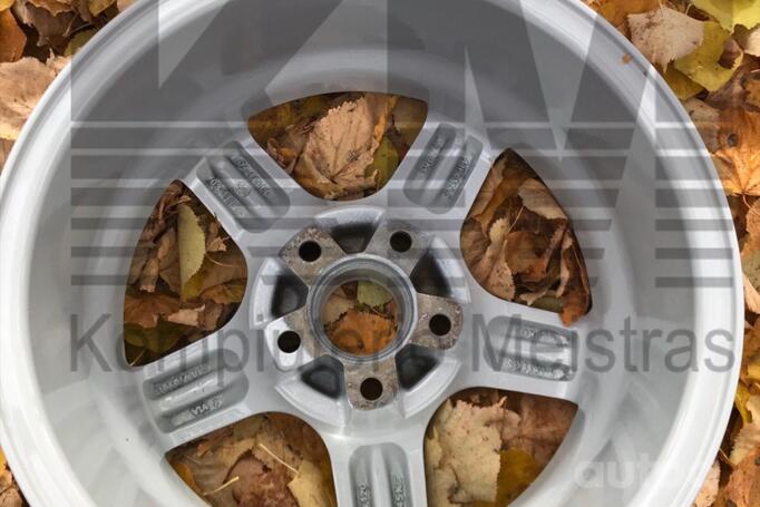 Audi, Ford, Seat, Skoda, Volkswagen, lengvojo lydinio