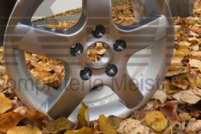 Audi, Ford, Seat, Skoda, Volkswagen, lengvojo lydinio