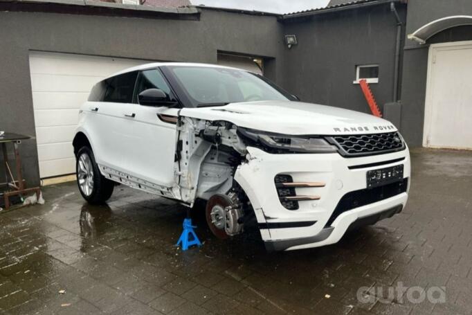 Kita, lengvojo lydinio