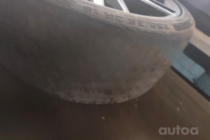 Kita, lengvojo lydinio