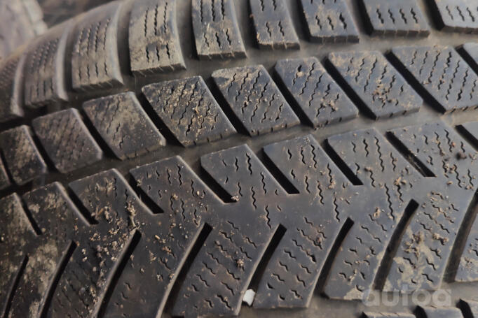 Kita, lengvojo lydinio