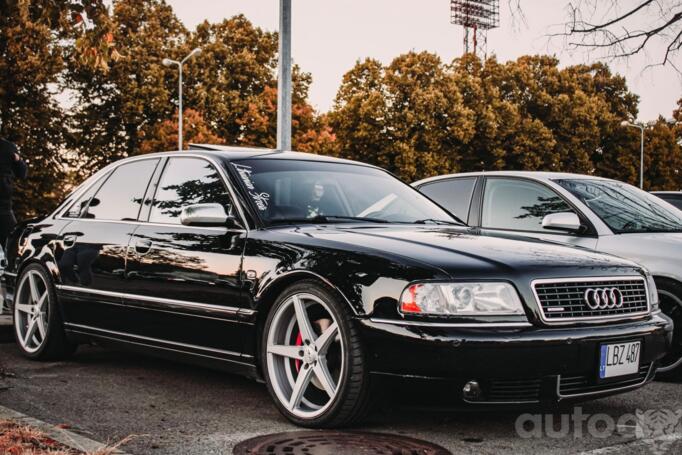 Kita, lengvojo lydinio