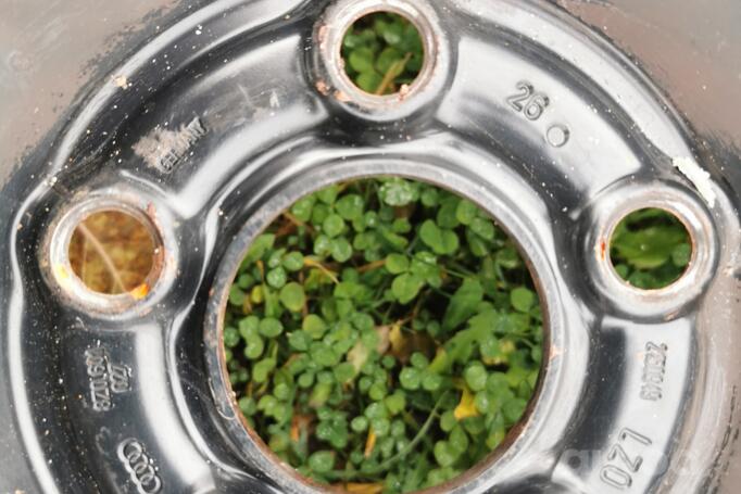 Audi, volkswagen, plieniniai štampuoti