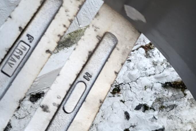 Kita, lengvojo lydinio