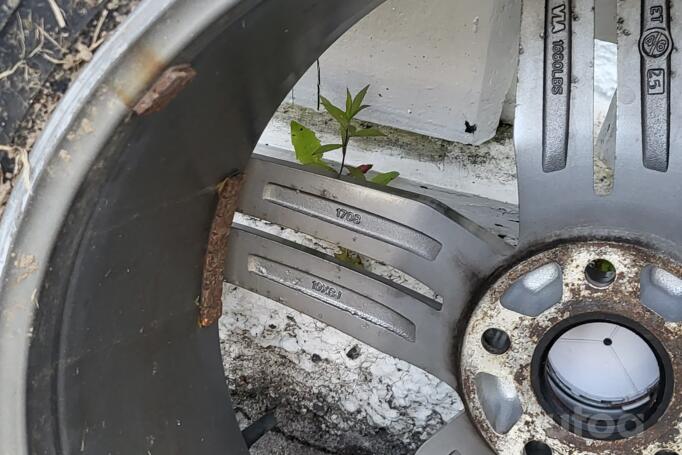 Kita, lengvojo lydinio