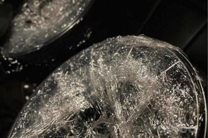 Japan Racing, lengvojo lydinio