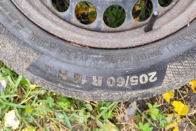 Kita, plieniniai štampuoti