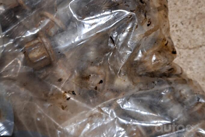 Kita, lengvojo lydinio