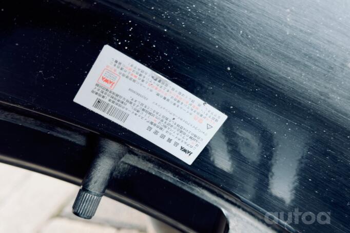 Rays, lengvojo lydinio