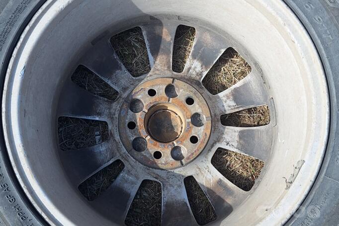 Kita, lengvojo lydinio