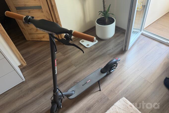 Beaster Scooter Bs06