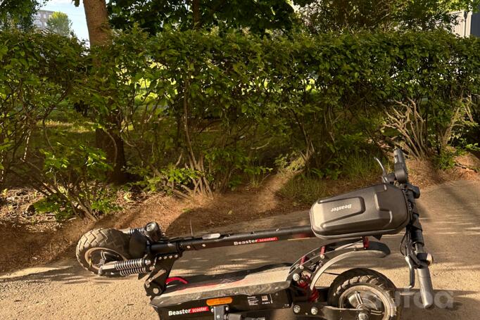 Beaster Scooter Bs11