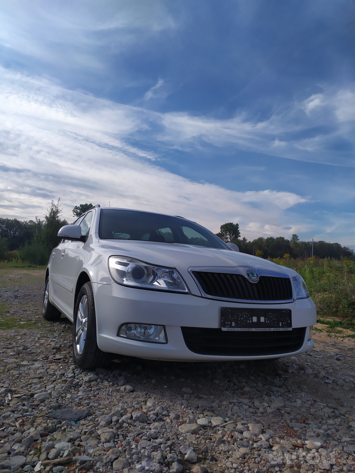 Skoda octavia a5 лампочки