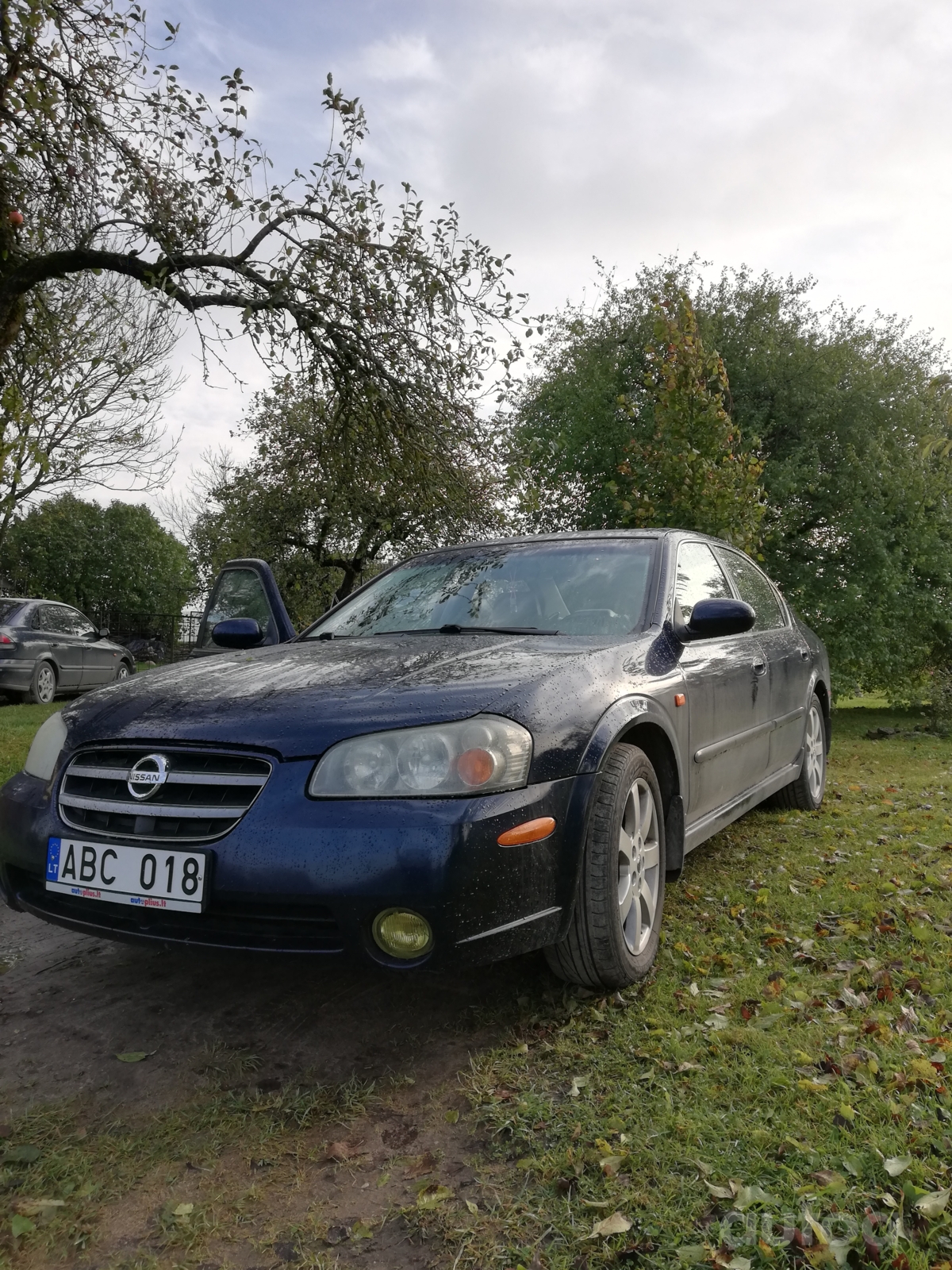 Nissan maxima a33 вес