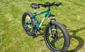 Corelli Zengo Mtb