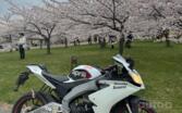 Aprilia RS