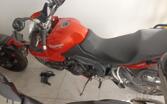 Triumph Tiger