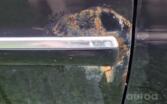 Volkswagen Passat B5.5 [restyling] wagon