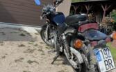 Kawasaki Eliminator